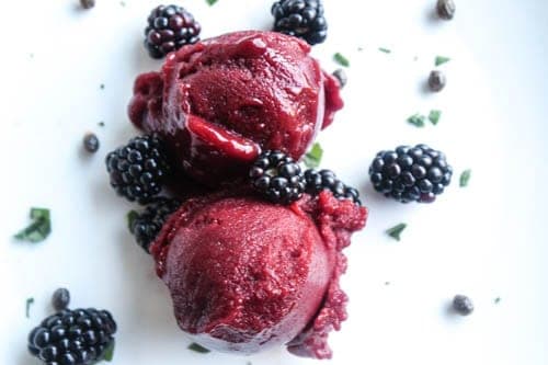 blackberry sorbet