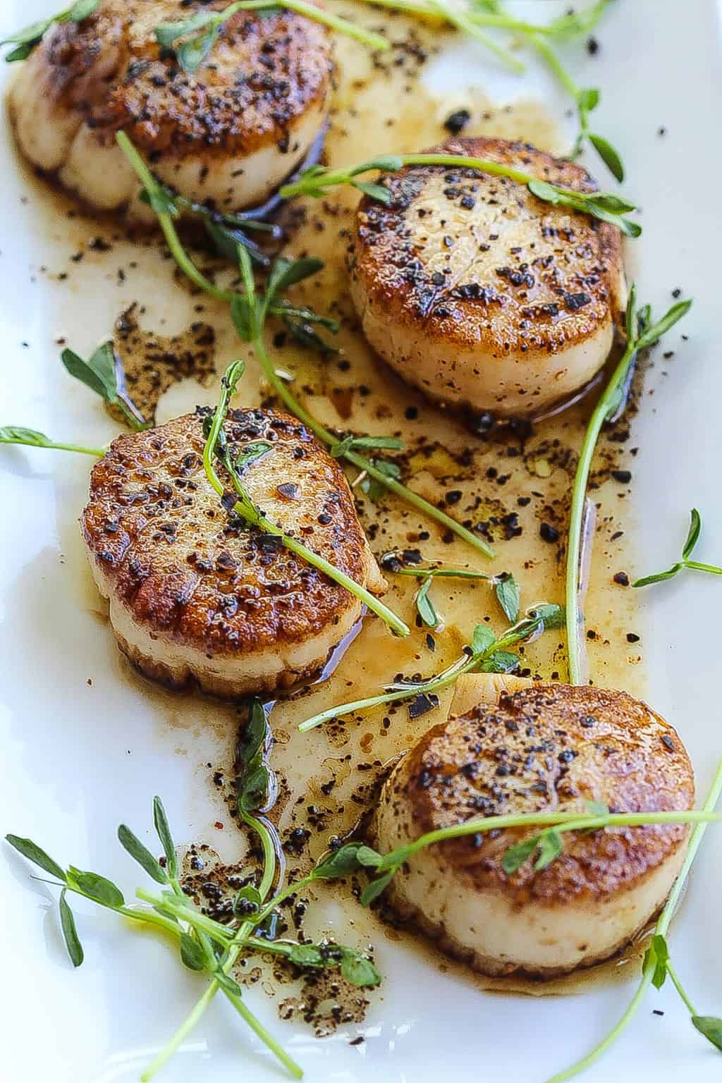 pan-seared scallops recipe plated with herbs and coffee vinaigrette