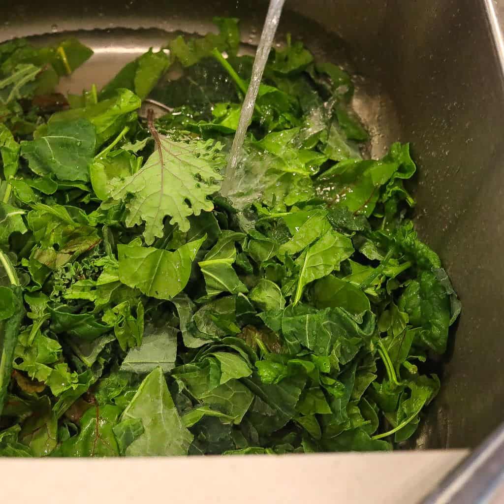 greens being washed in sink