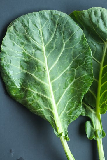 raw collard greens with black background