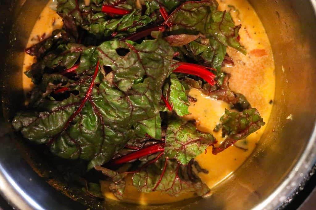 swiss chard in pot