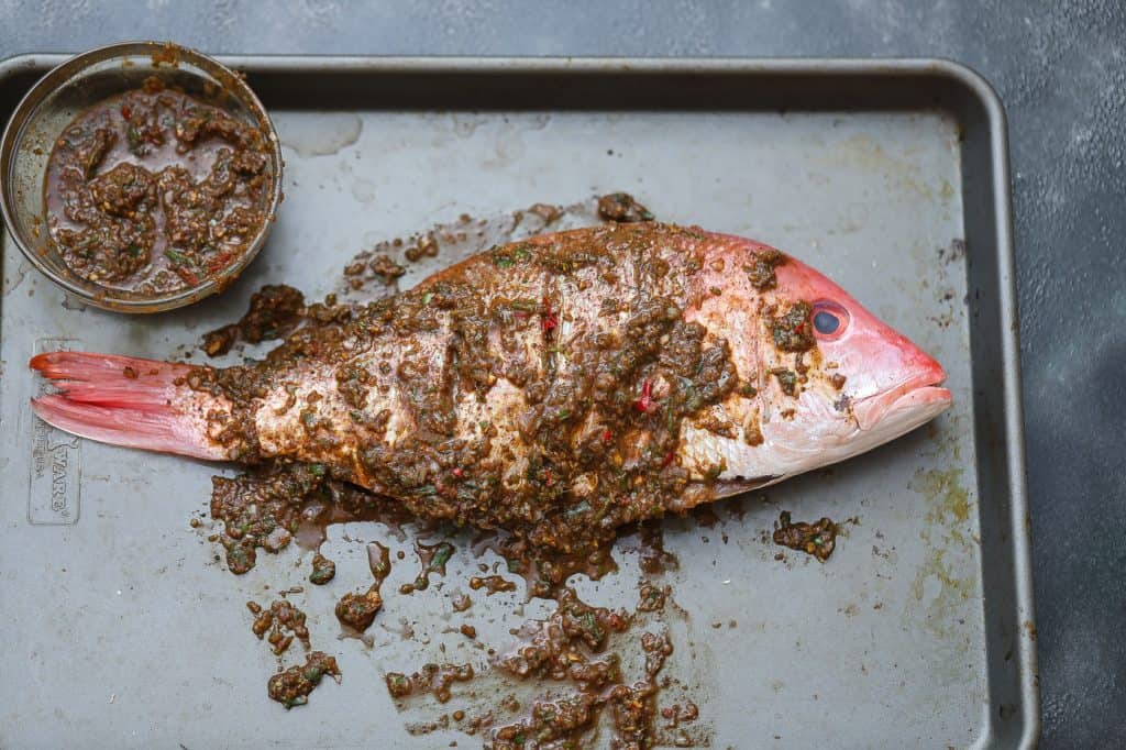 whole raw red snapper covered by jerk marinade on a tray