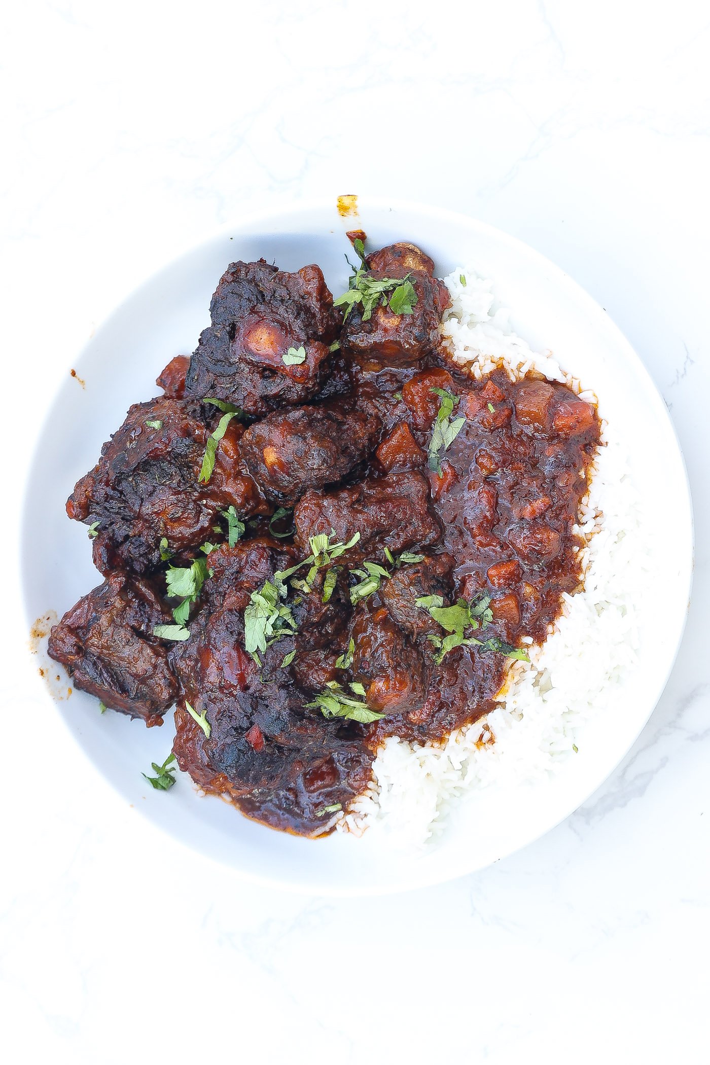 oxtails, gravy, and rice in white bowl