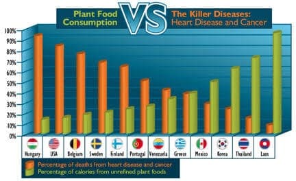 Plant based diet vs meat consumption