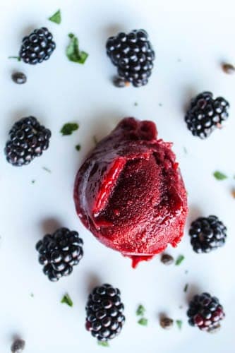 blackberry sorbet