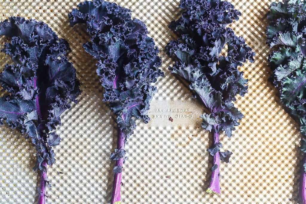 purple kale leaves on a baking sheet #kalechips www.foodfidelity.com