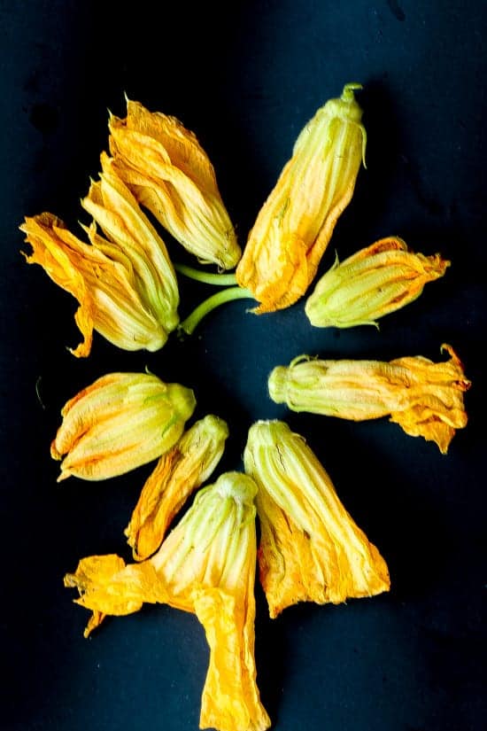 squash blossoms