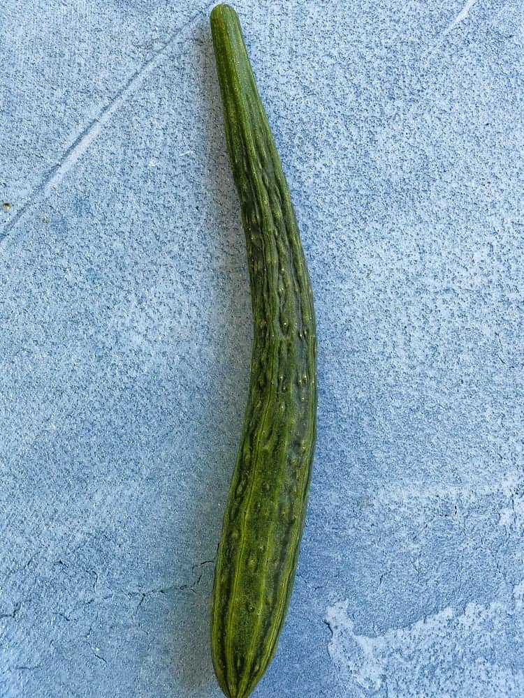 whole japanese cucumber