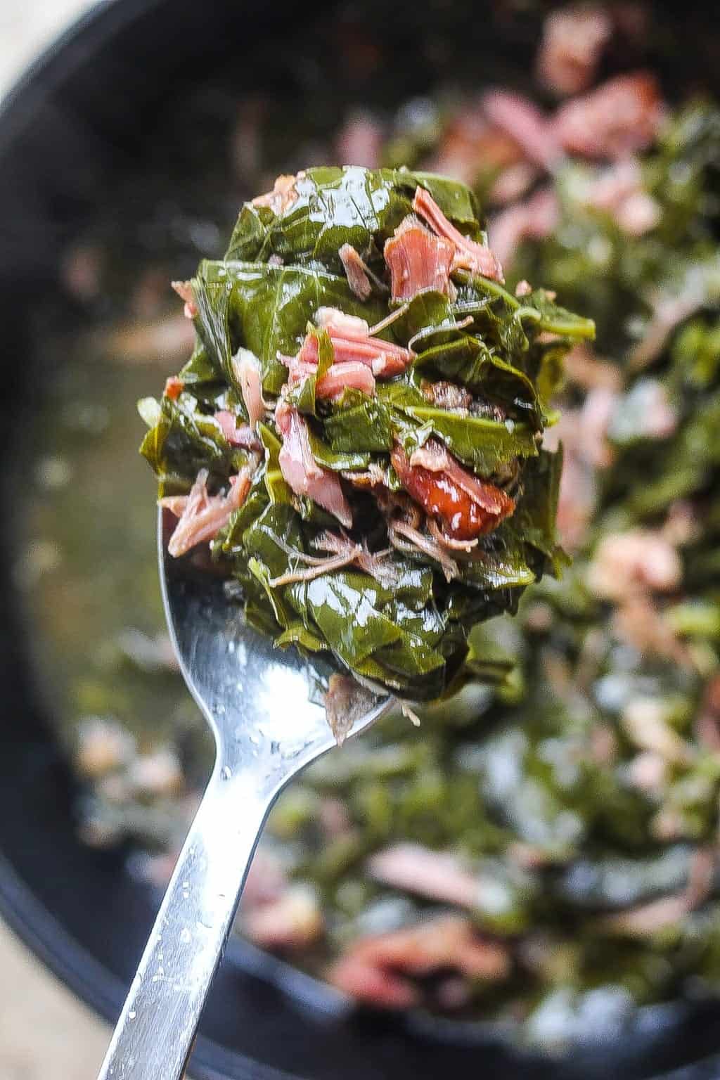 forkful of southern collard greens with smoked turkey
