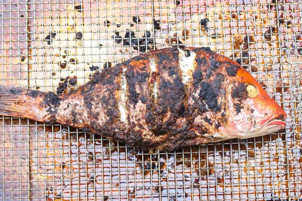 jerk grilled snapper on a wire rack