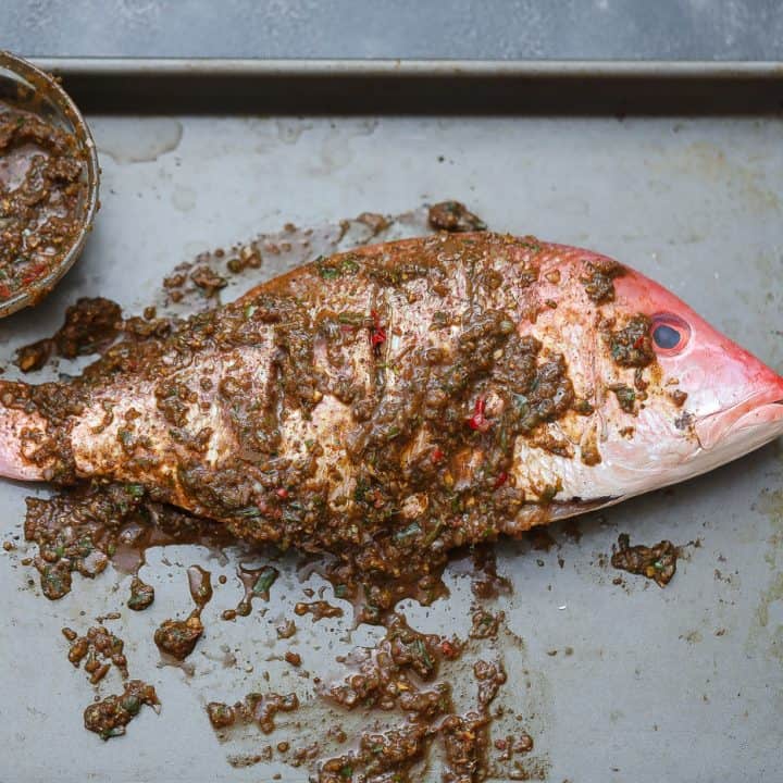 whole raw red snapper covered by jerk marinade on a tray