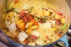 stew ingredients in a pot